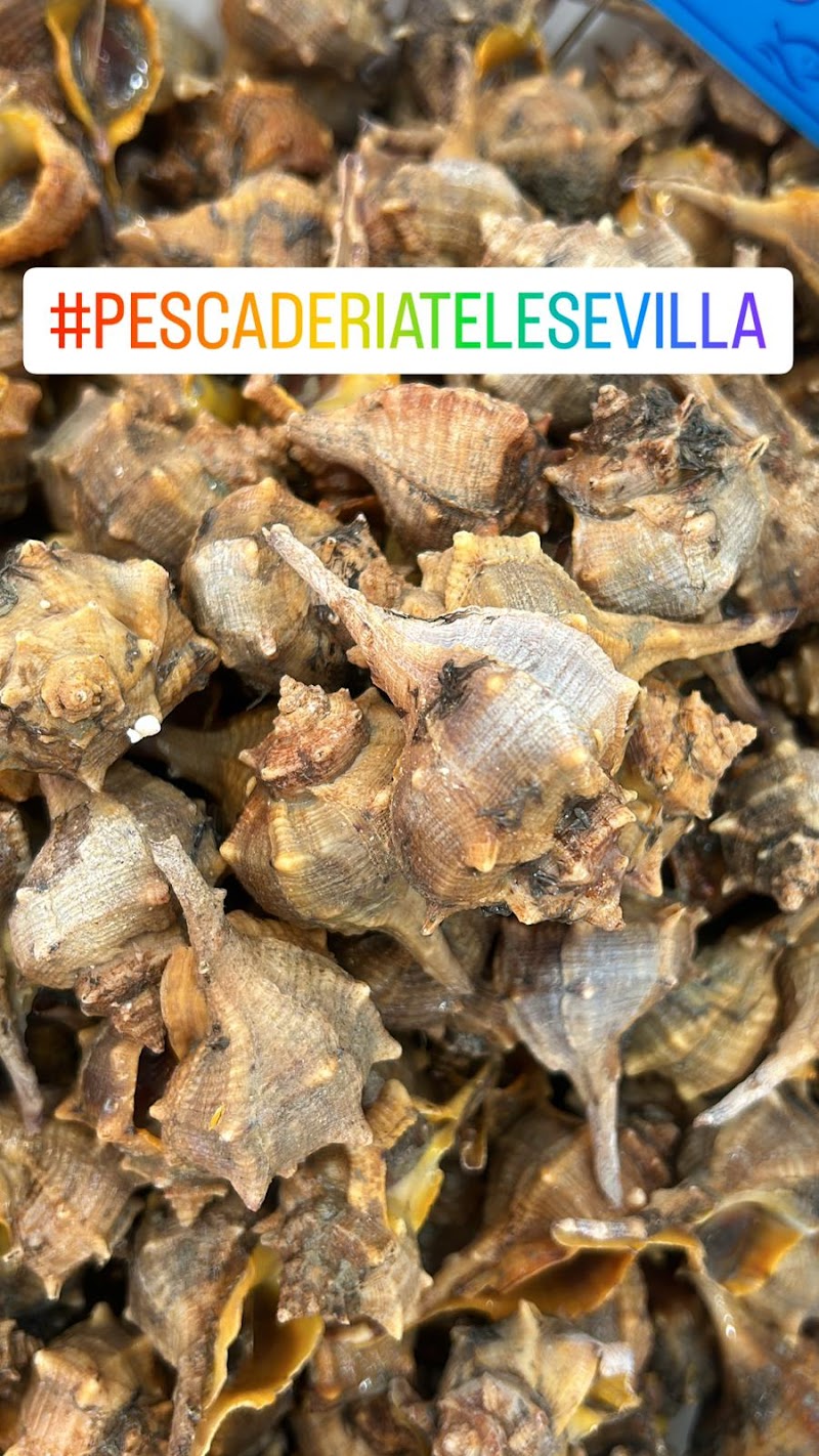 Imagen de Pescadería Tele Sevilla