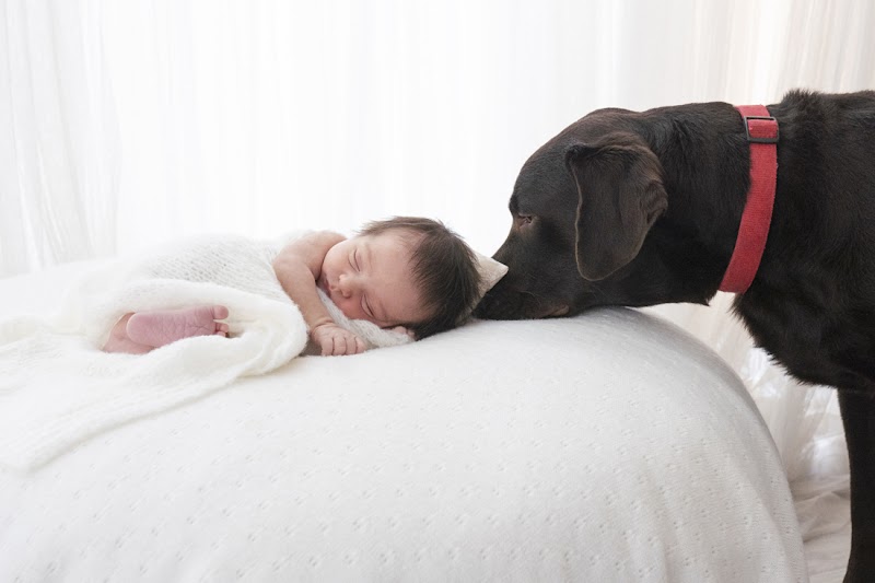 Imagen de Laluna Fotografía