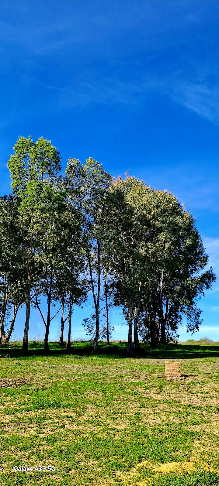 Imagen representativa de la localización