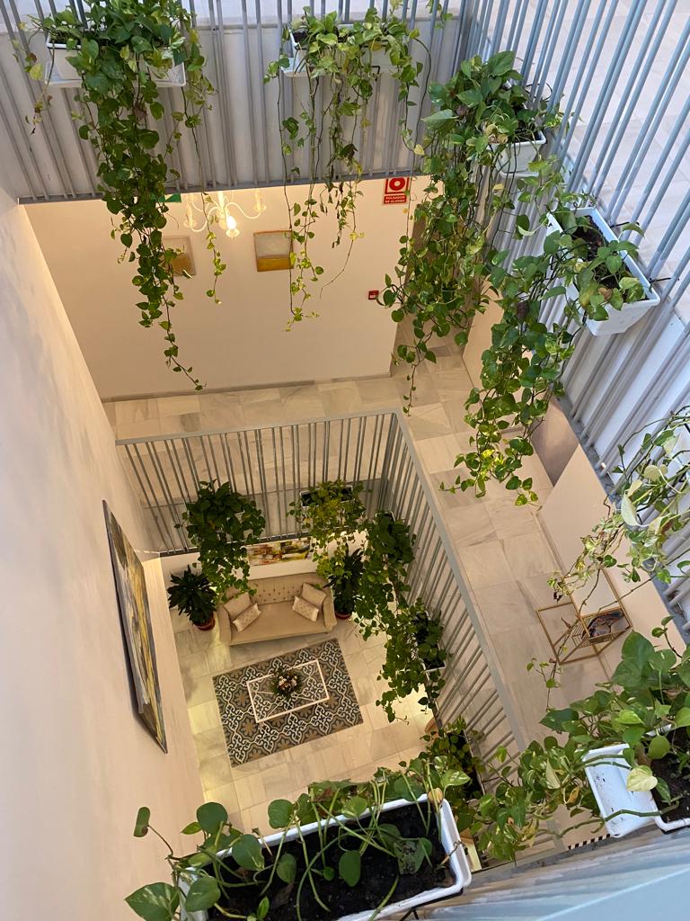 Imagen de Terraza Fulton