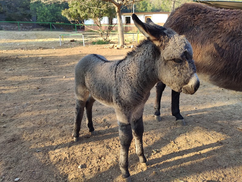 Imagen de Parque el Pla de Estivella