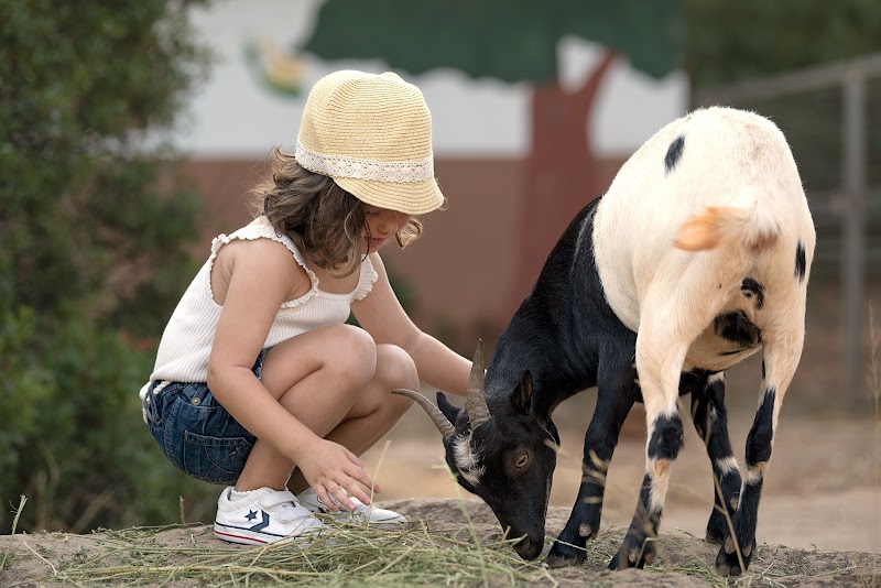 Imagen de Parque el Pla de Estivella