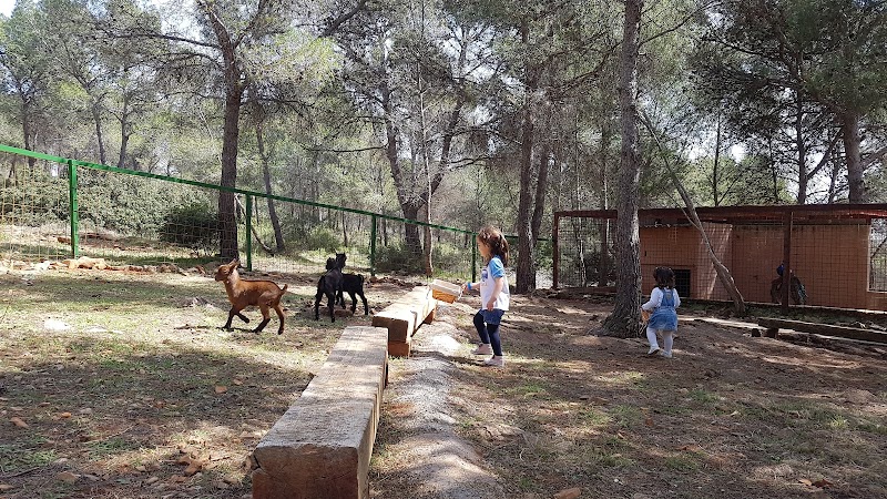 Imagen de Parque el Pla de Estivella