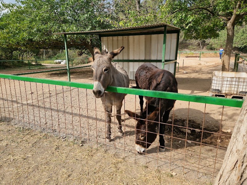 Imagen de Parque el Pla de Estivella