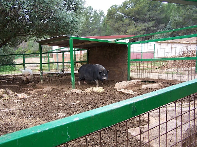 Imagen de Parque el Pla de Estivella