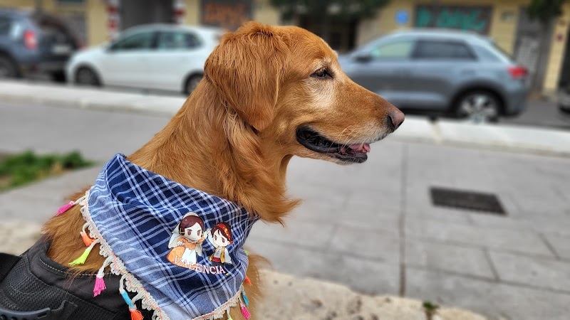 Imagen de Centro Veterinario Migos