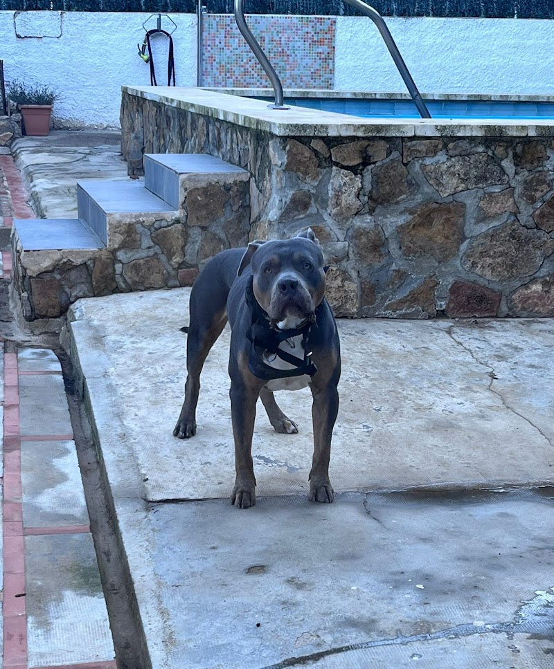 Imagen de Centro Veterinario Migos