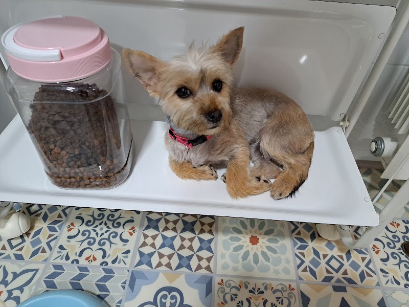 Imagen de Centro Veterinario Migos