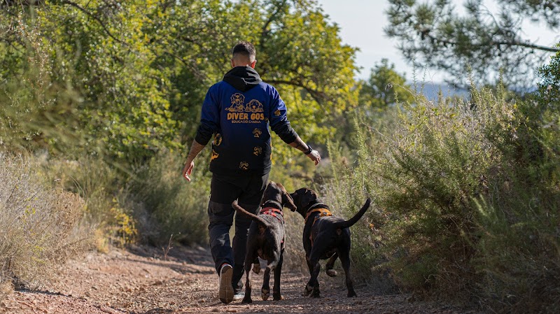 Imagen de Diver Gos Educació Canina