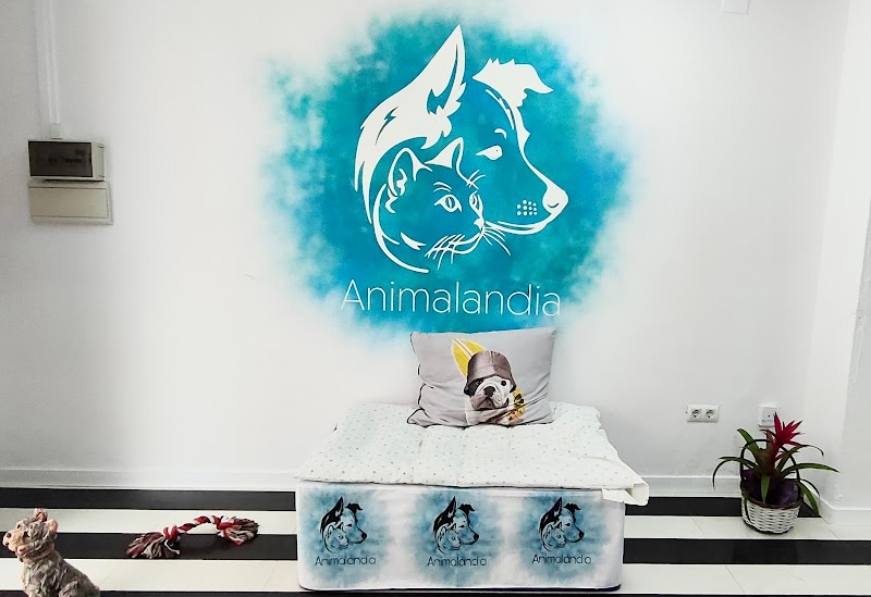 Imagen de Animalandia Pet Shop