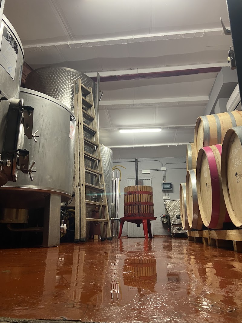 Imagen de negocio en Bodega en Provincia de Castellón