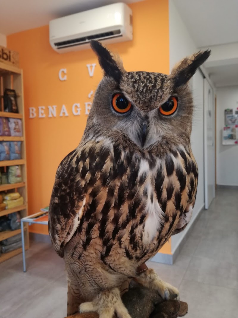 Imagen de la localización