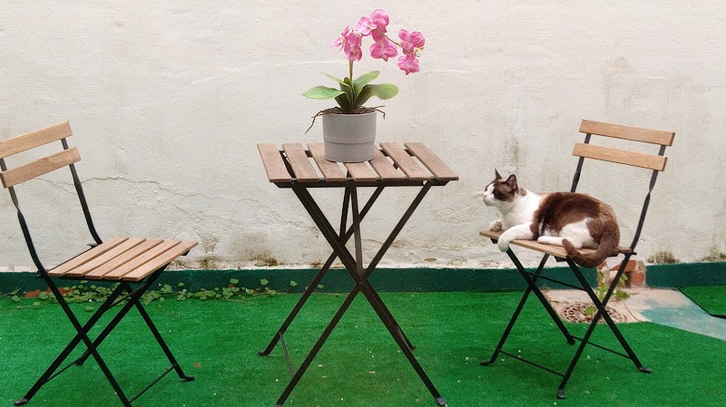 Imagen de la localización