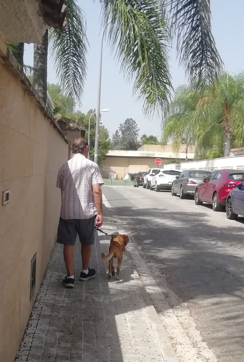 Imagen de la localización