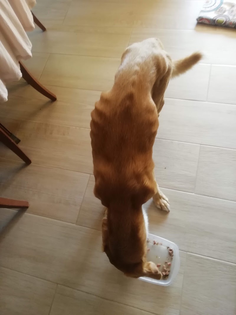 Imagen de la localización