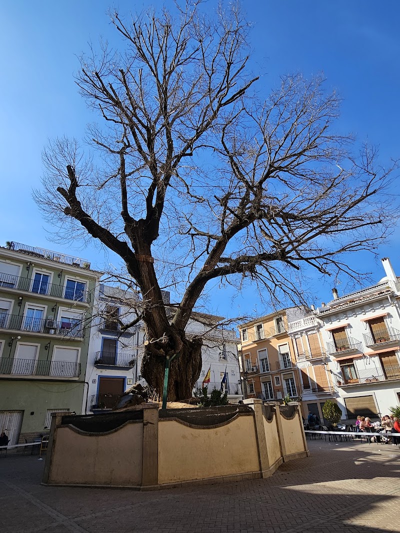 Imagen representativa de la localización