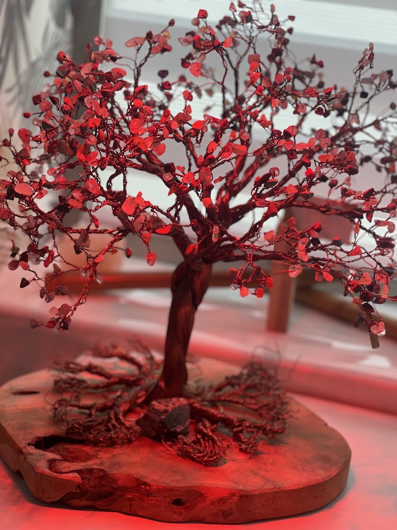 Imagen de Paraiso Esthetic