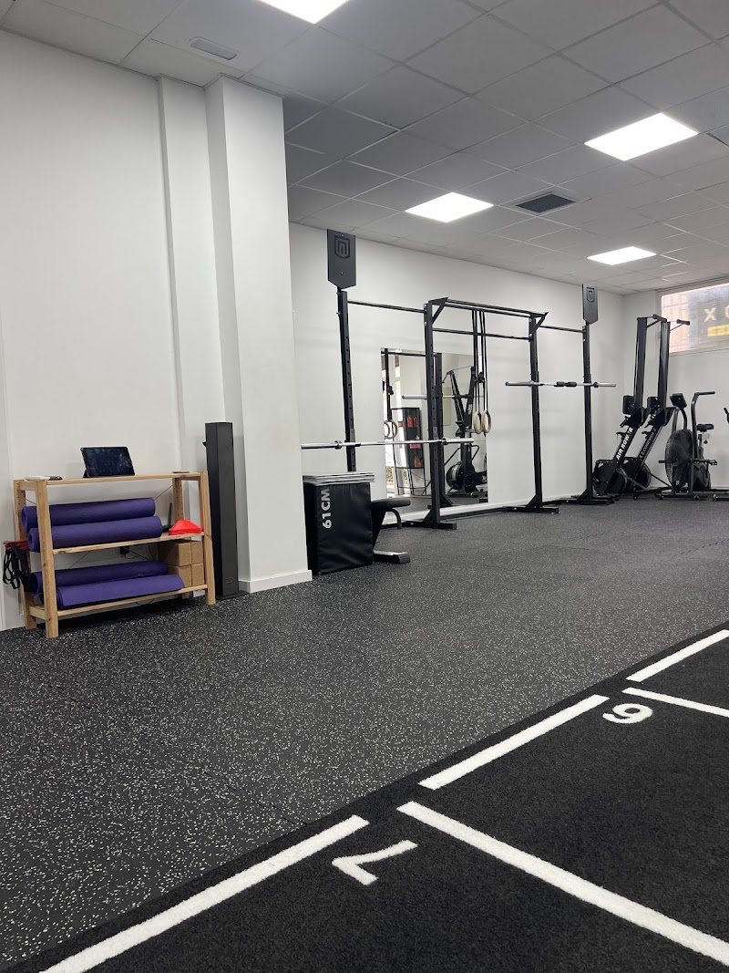 Imagen de Iván Martos Studio