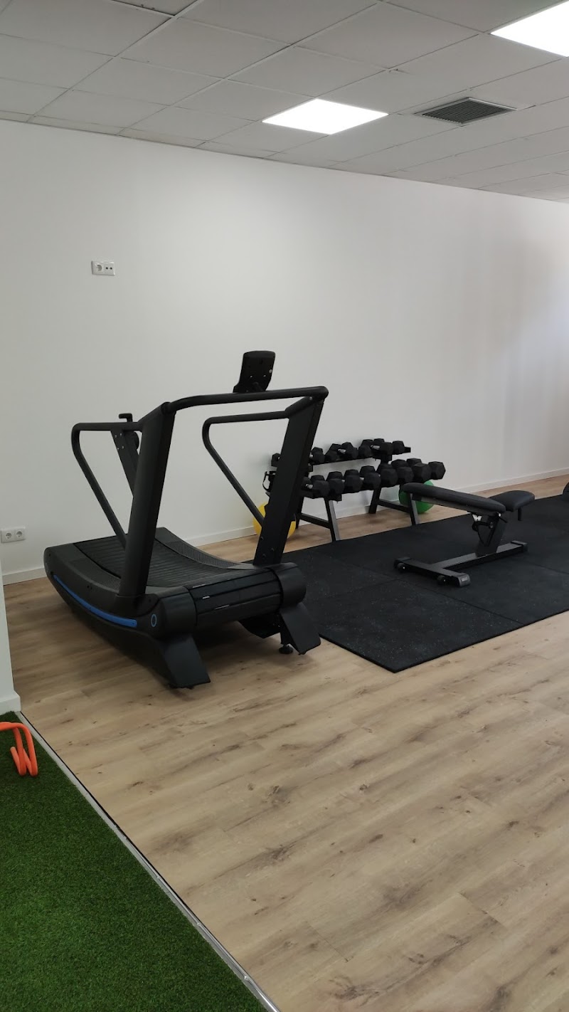 Imagen de Iván Martos Studio