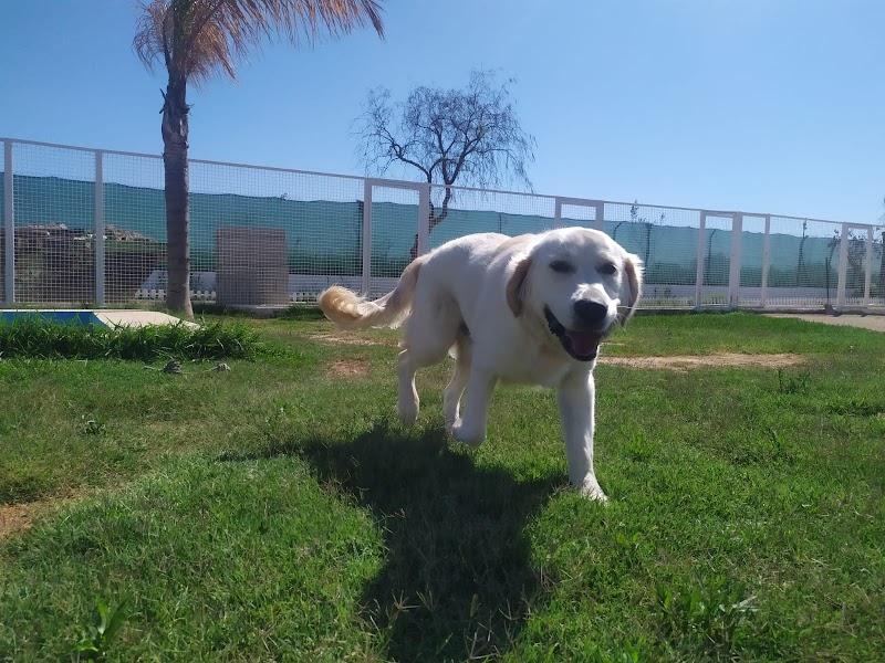 Imagen de Residencia Canina Valencia