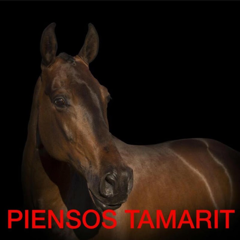 Imagen de negocio en Veterinaria en La Pobla de Vallbona