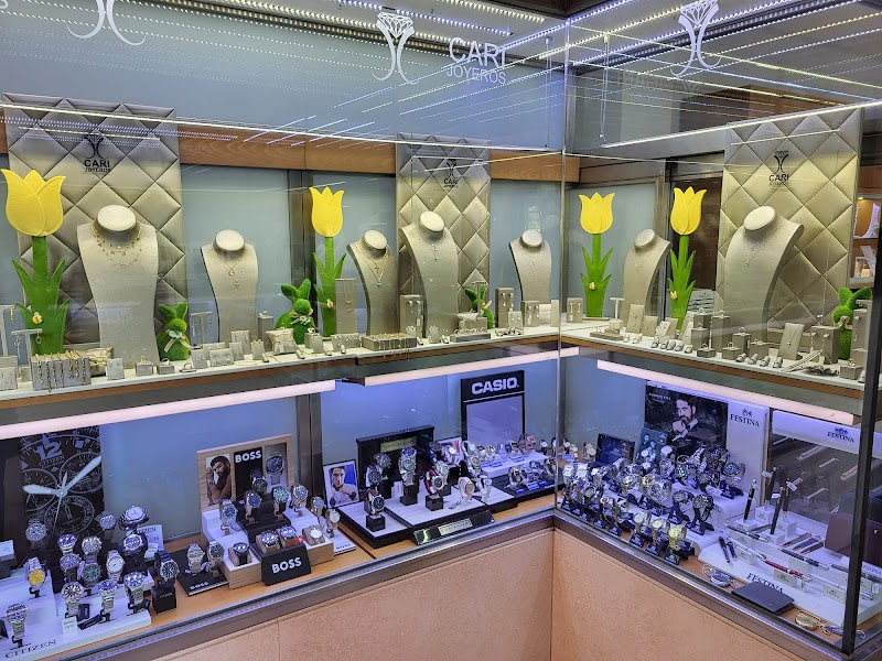 Imagen de Cari Joyeros