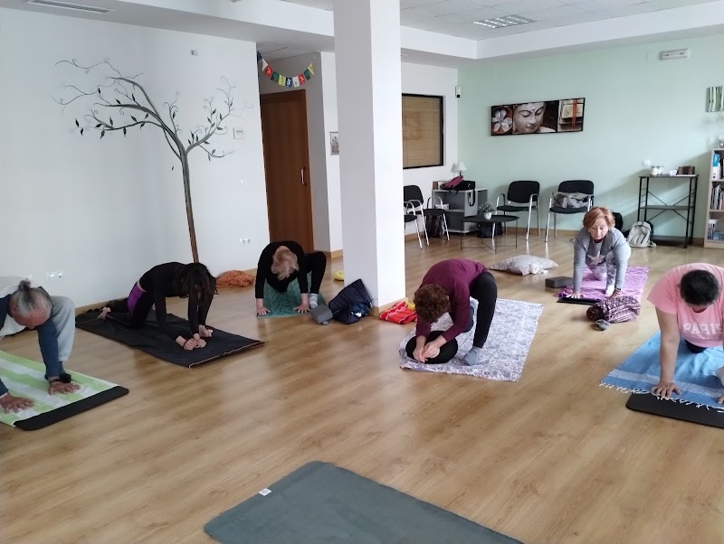 Imagen de Asociación Hogar Saludable la Cañada