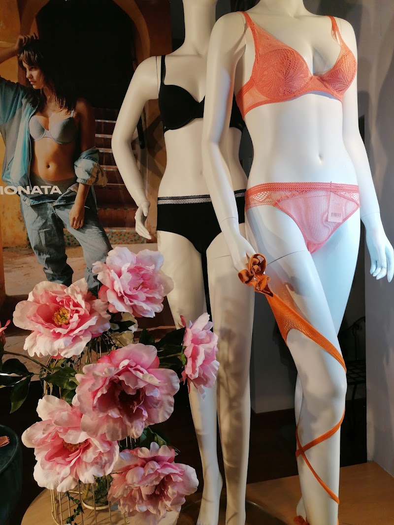 Imagen de Shelen Moda íntima