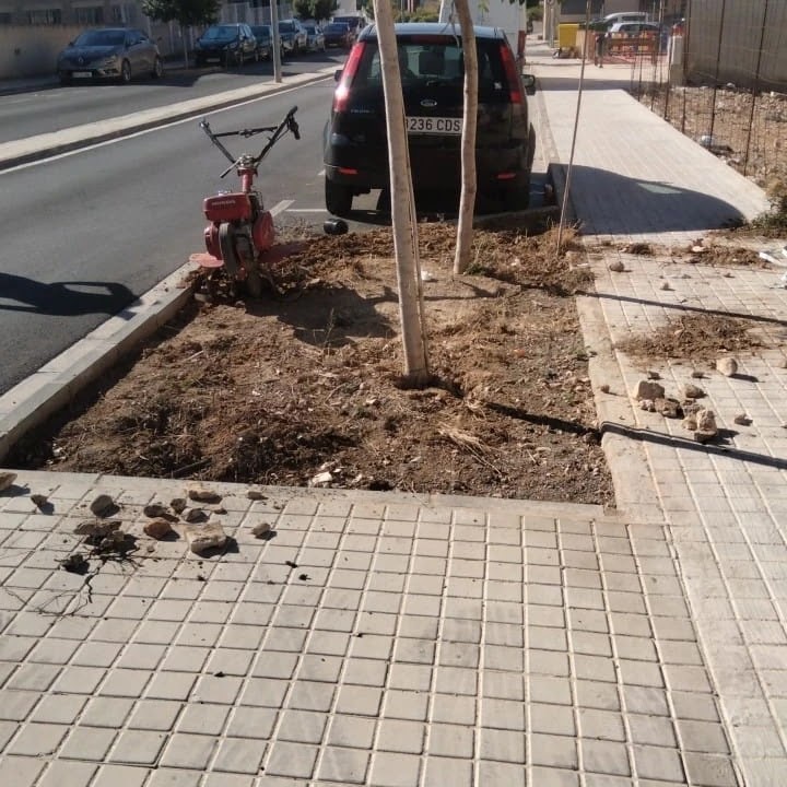 Imagen de negocio en Paisajismo en Benissanó