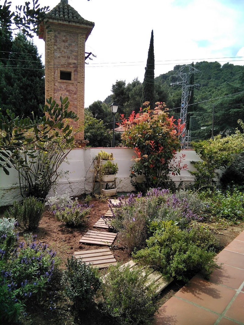 Imagen de negocio en Paisajismo en Serra