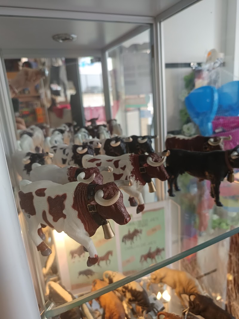 Imagen de La Buena Impresión Consumibles & Más (segorbe)