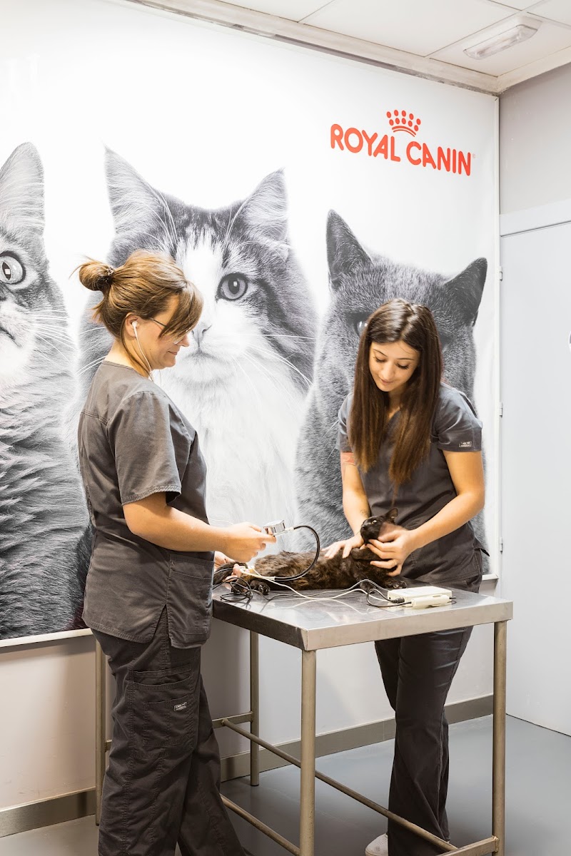 Imagen de Anicura Sant Antoni Clínica Veterinaria