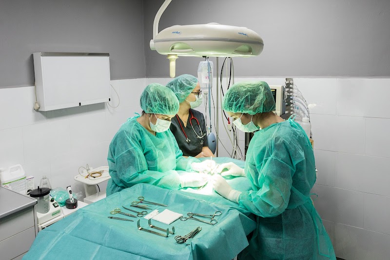 Imagen de Anicura Sant Antoni Clínica Veterinaria