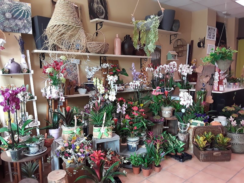 Imagen de negocio en Hogar en Bétera