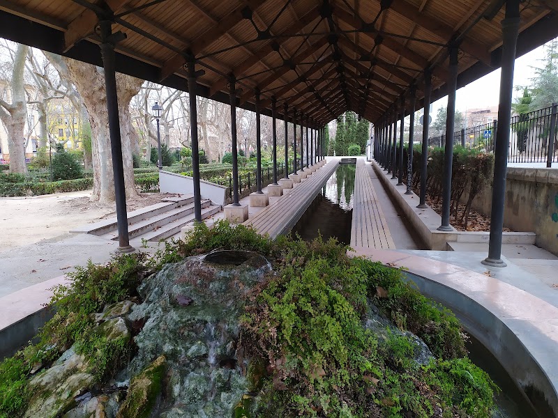 Imagen de negocio en Paisajismo en Xàtiva