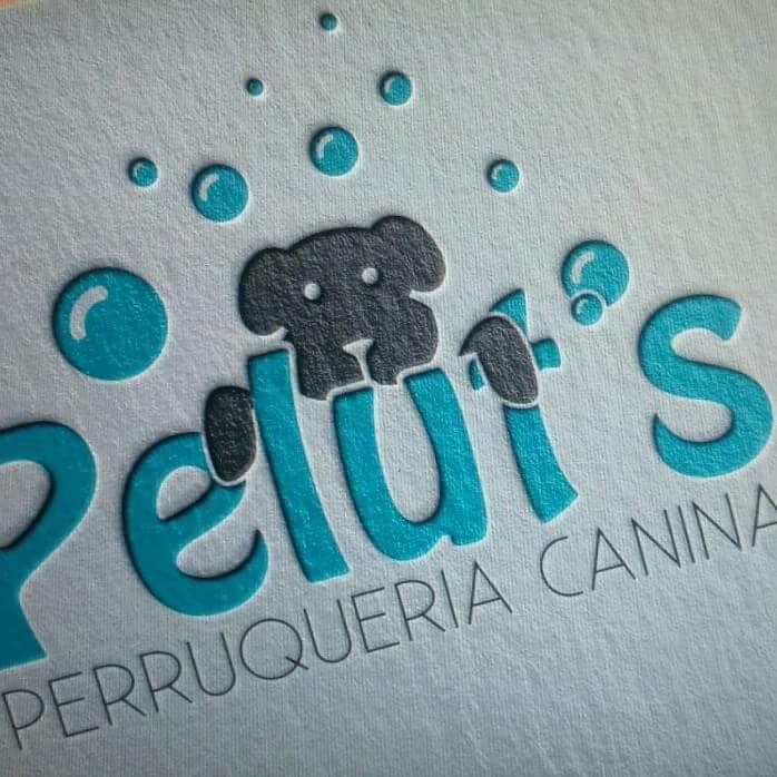 Imagen de Pelut’s Perruqueria Canina I Felina
