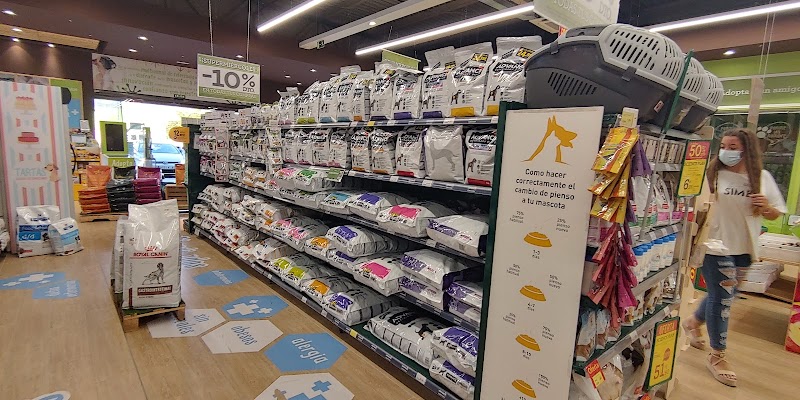 Imagen de la localización