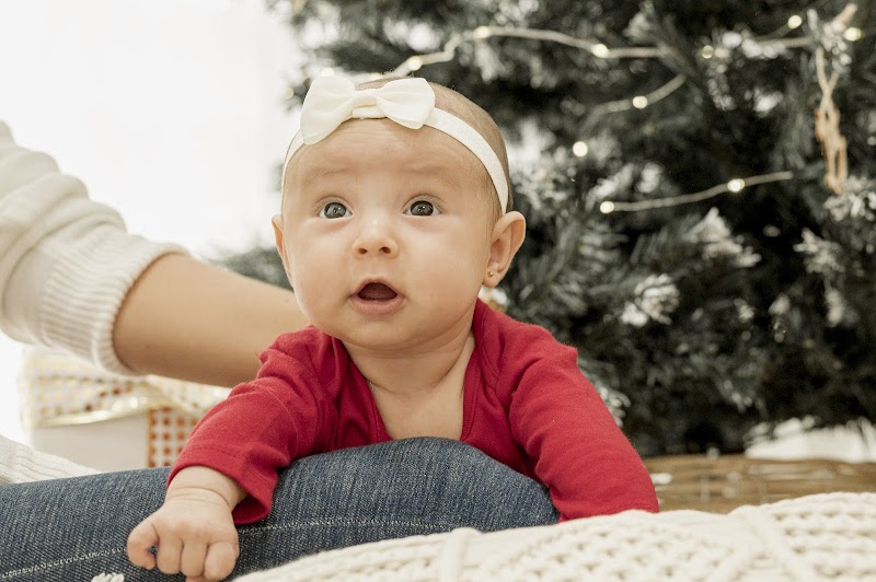 Imagen de Gualda Fotografía