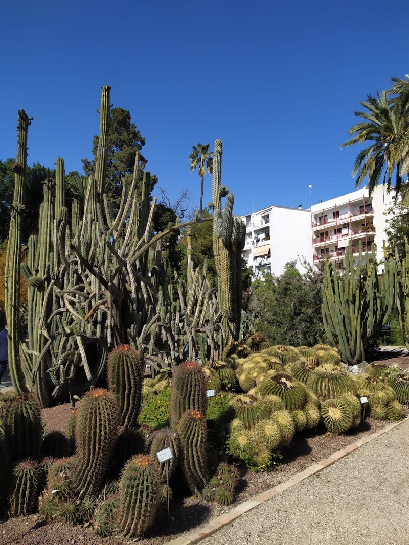 Imagen de A Casa Martínez B&b