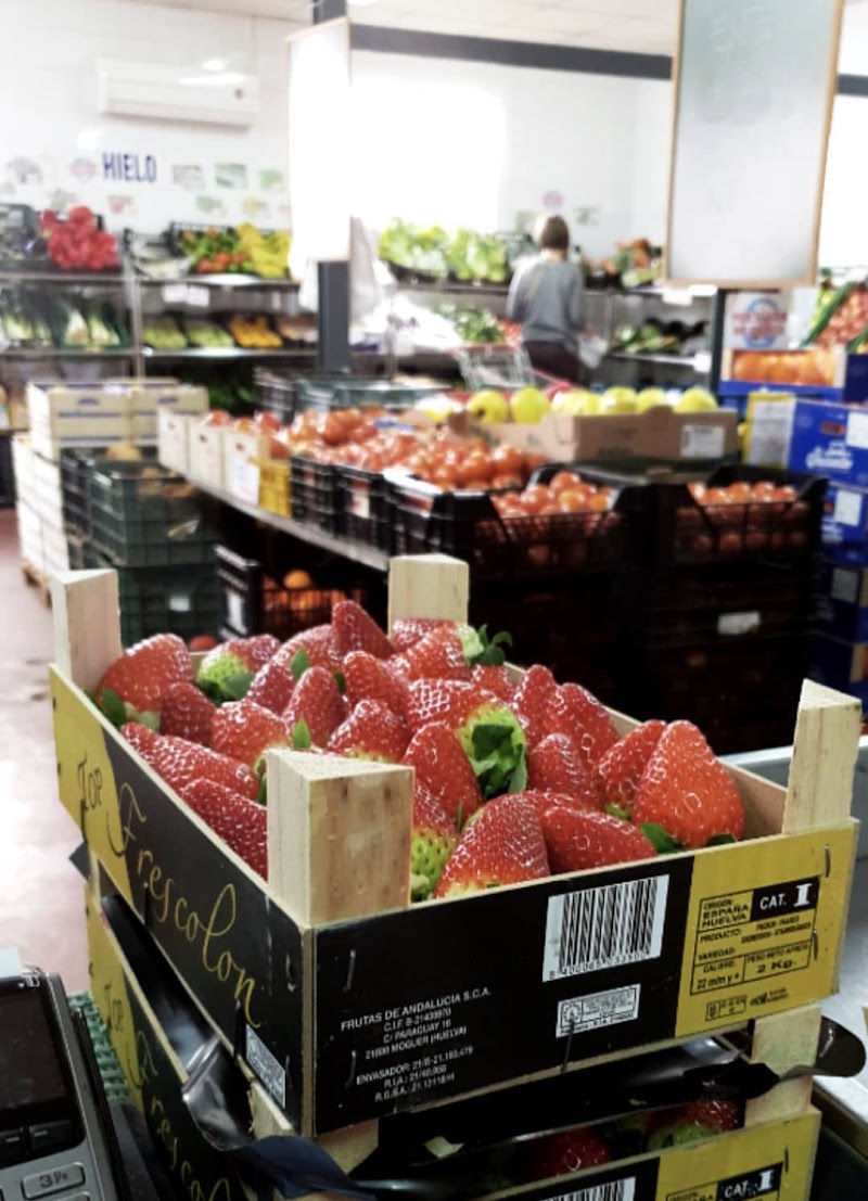 Imagen de Agropatatas Alcoreñas » el Camping»