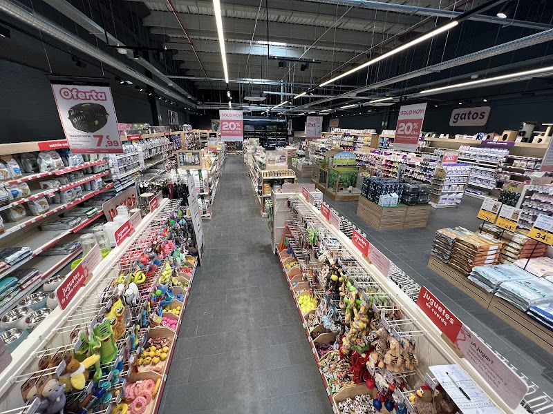 Imagen de Kiwoko. Mundo Animal