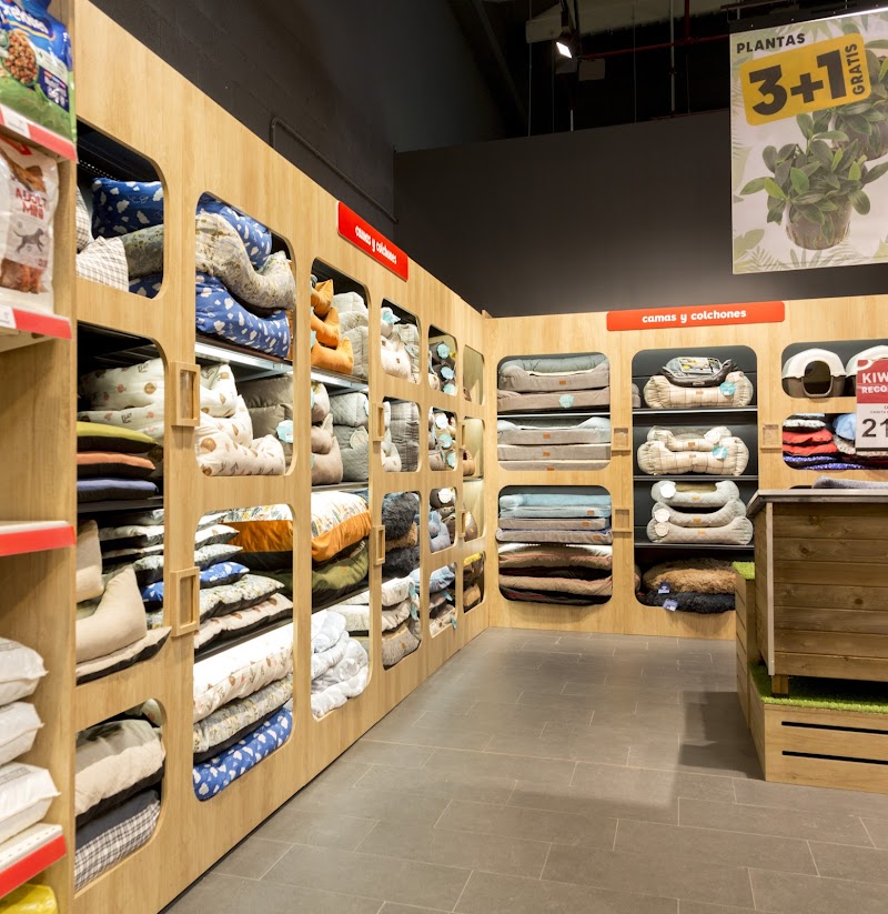 Imagen de Kiwoko. Mundo Animal