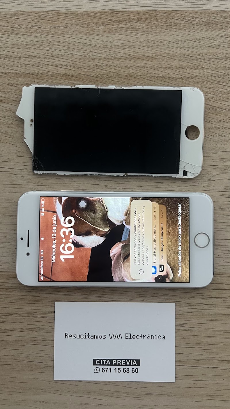 Imagen de Resucitamos Electrónica