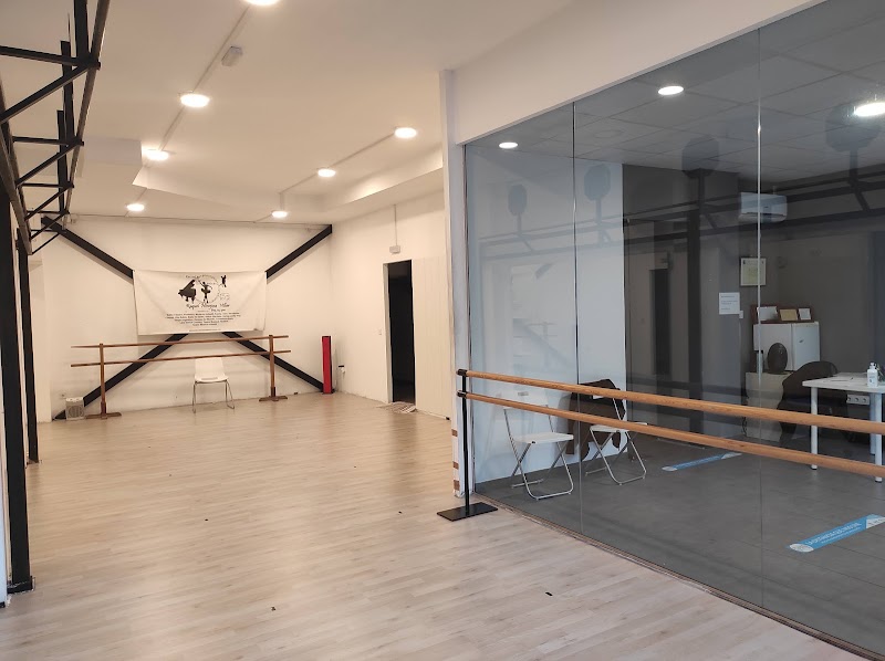 Imagen de Danza Majadahonda – Raquel Hinojosa Villar – Artes Escénicas