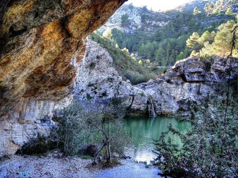 Imagen de negocio en Beniarrés (Alicante)