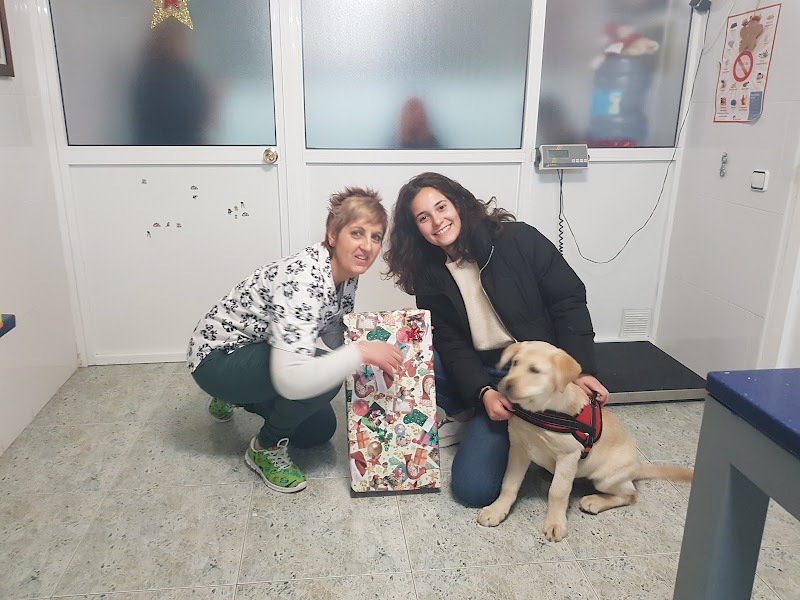 Imagen de Consultorio Veterinario Mascota