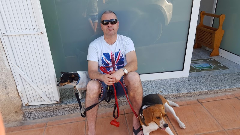 Imagen de Consultorio Veterinario Mascota