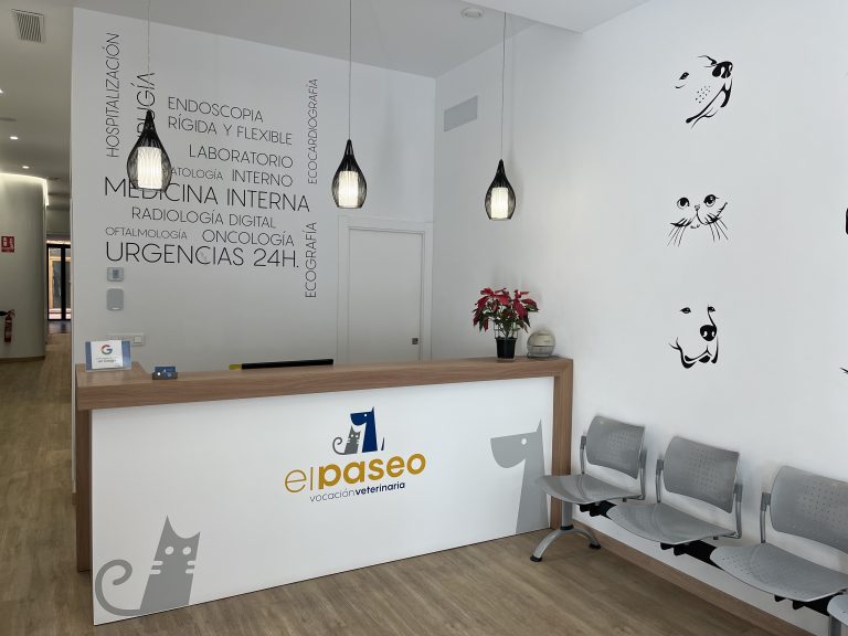 Recepción y sala espera canina