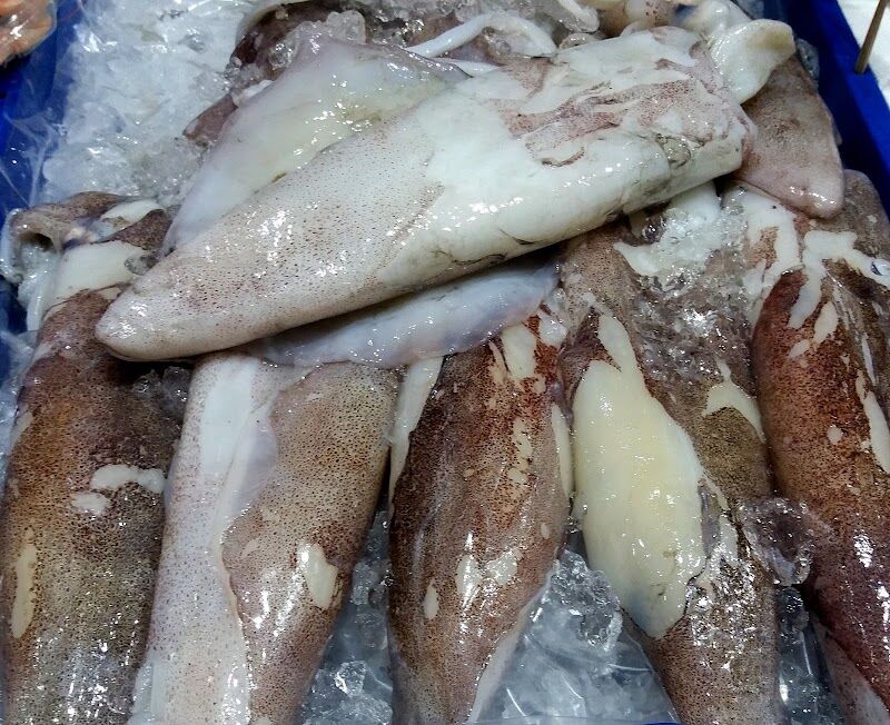 Imagen de Peixos Mar Blau