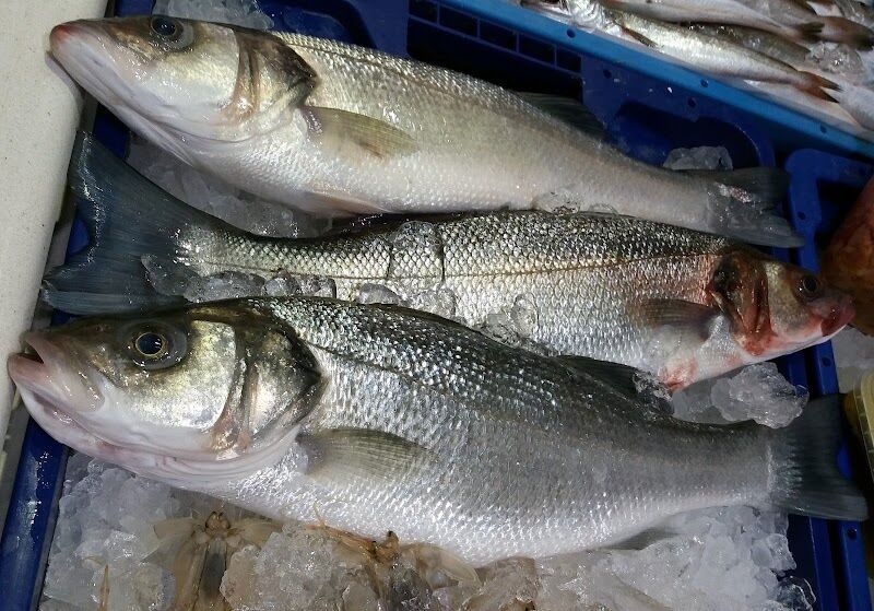 Imagen de Peixos Mar Blau